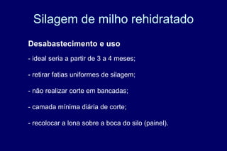Silagem de milho rehidratado
Desabastecimento e uso
- ideal seria a partir de 3 a 4 meses;
- retirar fatias uniformes de silagem;
- não realizar corte em bancadas;
- camada mínima diária de corte;
- recolocar a lona sobre a boca do silo (painel).
 