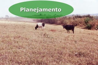 Planejamento
 