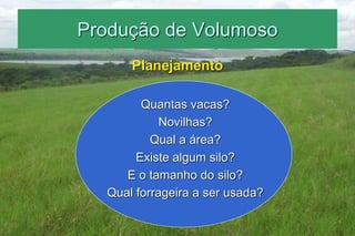 Produção de Volumoso
Planejamento
Quantas vacas?
Novilhas?
Qual a área?
Existe algum silo?
E o tamanho do silo?
Qual forrageira a ser usada?
 
