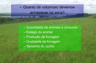 • Quanto de volumoso devemos
armazenar na seca?
– Quantidade de animais e consumo
– Estágio do animal
– Produção de forragem
– Qualidade da forragem
– Tamanho do cocho
 