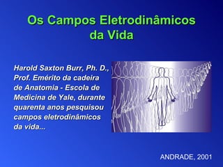 Harold Saxton Burr , Ph. D., Prof. Emérito da cadeira de Anatomia   -  Escola  d e Medicina de Yale ,  durante quarenta anos pesquisou campos eletrodinâmicos da vida... Os Campos Eletrodinâmicos da Vida ANDRADE, 2001 