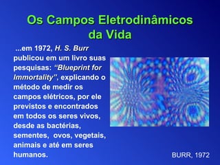 ...em   1972,   H. S. Burr   publicou  em um livro suas pesquisas:   “ Blueprint for Immortality ” ,  explicando o método de medir   os campos elétricos, por ele previstos e encontrados   em todos os seres vivos, desde as bactérias, sementes,  ovos, vegetais, animais e até em seres humanos. Os Campos Eletrodinâmicos da Vida BURR, 1972 