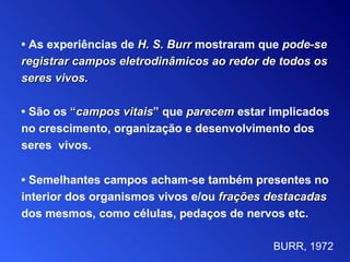 •  As  experiências de   H. S. Burr   mostra ram  que  p ode -se  registrar campos eletrodinâmicos   ao redor de todos os   seres vivos. •  São   os  “ campos vitais ”  que  parecem   estar   implicados no crescimento, organização e   desenvolvimento dos seres  vivos. •  Semelhantes campos acham-se também presentes no   interior dos organismos vivos e/ou  frações destacadas   dos mesmos, como células, pedaços de nervos etc.   BURR, 1972 