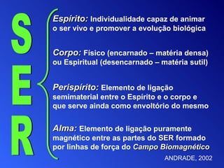 Espírito:  Individualidade capaz de animar o ser vivo e promover a evolução biológica Alma:  Elemento de ligação puramente magnético entre as partes do  SER  formado por linhas de força do  Campo Biomagnético Corpo:   Físico (encarnado – matéria densa) ou Espiritual (desencarnado – matéria sutil) Perispírito:   Elemento de ligação semimaterial entre o Espírito e o corpo  e  que serve ainda como envoltório do mesmo ANDRADE, 2002 SER 