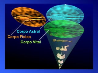 Corpo Astral Corpo Físico Corpo Vital 