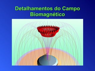 Detalhamentos do Campo Biomagnético 