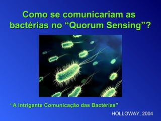 Como se comunicariam as  bactérias no “Quorum Sens ing ”? HOLLOWAY,  2004 “ A Intrigante Comunicação das Bactérias” 