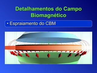 •  Espraiamento do CBM Detalhamentos do Campo Biomagnético 