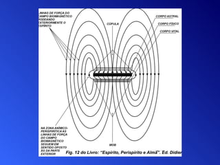 Fig. 12 do Livro:  “ Espírito, Perispírito e Alma ”. Ed. Didier   