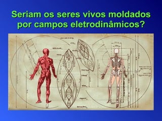 Seriam os seres vivos moldados por campos eletrodinâmicos? 