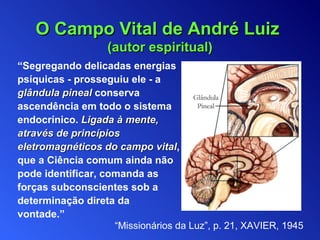     “ Segregando delicadas energias  psíquicas - prosseguiu ele -   a  glândula pineal  conserva  ascendência em todo o sistema  endocrínico.  Ligada à mente,  através de princípios  eletromagnéticos do campo vital ,  que a Ciência comum ainda não  pode identificar, comanda as  forças subconscientes sob a  determinação direta da vontade.”    O Campo Vital de André Luiz   (autor espiritual) “ Missionários da Luz ”,  p. 21, XAVIER, 1945 