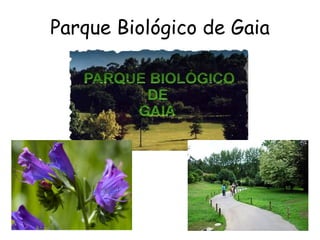 Parque Biológico de Gaia 