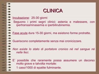 CLINICA Incubazione :  25-30 giorni   Seguono i primi segni clinici: astenia e malessere, con ipertransaminasemia e iperbilirubinemia.   Fase acuta  dura 15-30 giorni, ma esistono forme protratte.   Guariscono completamente senza mai cronicizzare.   Non esiste lo stato di portatore cronico né nel sangue né nelle feci.   E’ possibile che raramente possa assumere un decorso molto grave e talvolta mortale:  1 caso/1000 di epatite fulminante. 