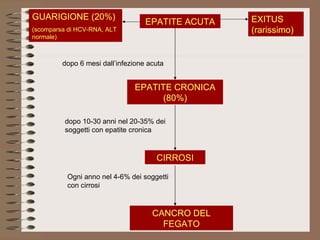 GUARIGIONE (20%) (scomparsa di HCV-RNA, ALT normale) EPATITE ACUTA EXITUS (rarissimo) EPATITE CRONICA (80%) CIRROSI Ogni anno nel 4-6% dei soggetti con cirrosi CANCRO DEL FEGATO dopo 10-30 anni nel 20-35% dei soggetti con epatite cronica dopo 6 mesi dall’infezione acuta 