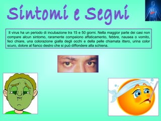 Il virus ha un periodo di incubazione tra 15 e 50 giorni. Nella maggior parte dei casi non
compare alcun sintomo, raramente compaiono affaticamento, febbre, nausea o vomito,
feci chiare, una colorazione gialla degli occhi e della pelle chiamata ittero, urina color
scuro, dolore al fianco destro che si può diffondere alla schiena.
 