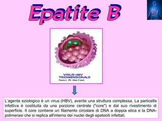 L’agente eziologico è un virus (HBV), avente una struttura complessa. La particella
infettiva è costituita da una porzione centrale ("core") e dal suo rivestimento di
superficie. Il core contiene un filamento circolare di DNA a doppia elica e la DNA-
polimerasi che si replica all'interno dei nuclei degli epatociti infettati.
 