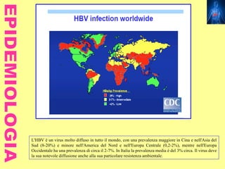 L'HBV è un virus molto diffuso in tutto il mondo, con una prevalenza maggiore in Cina e nell'Asia del
Sud (8-20%) e minore nell'America del Nord e nell'Europa Centrale (0,2-2%), mentre nell'Europa
Occidentale ha una prevalenza di circa il 2-7%. In Italia la prevalenza media è del 3% circa. Il virus deve
la sua notevole diffusione anche alla sua particolare resistenza ambientale.
 