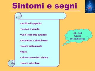 •perdita di appetito

•nausea e vomito
                                40 – 160
•rush (rossore) cutaneo
                                 Giorni
                             D’incubazione
•debolezza e stanchezza

•dolore addominale

•Ittero

•urine scure e feci chiare

•dolore articolare.
 