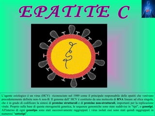 L’agente eziologico è un virus (HCV) riconosciuto nel 1989 come il principale responsabile delle epatiti che venivano
precedentemente definite non-A non-B. Il genoma dell’ HCV è costituito da una molecola di RNA lineare ad elica singola,
che è in grado di codificare la sintesi di proteine strutturali e di proteine non-strutturali, importanti per la replicazione
virale. Proprio sulla base di questa eterogeneità genetica, le sequenze genomiche sono state suddivise in "tipi", o genotipi.
All'interno di ogni genotipo sono stati successivamente raggruppati i virus isolati essi sono stati quindi raggruppati in
numerosi "sottotipi”.
 