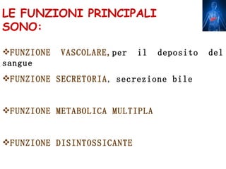 LE FUNZIONI PRINCIPALI
SONO:

FUNZIONE   VASCOLARE,per   il   deposito   del
sangue
FUNZIONE SECRETORIA, secrezione bile


FUNZIONE METABOLICA MULTIPLA


FUNZIONE DISINTOSSICANTE
 