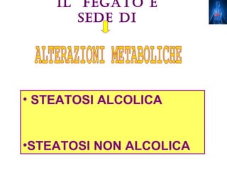 IL fEgATo è
       SEDE DI




• STEATOSI ALCOLICA


•STEATOSI NON ALCOLICA
 