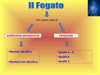 Può essere sede di:




ALTERAZIONI METABOLICHE                    PATOLOGIE




•Steatosi alcolica                     •Epatite A – E
                                       •Epatite B

•Steatosi non alcolica                 •Epatite C
 