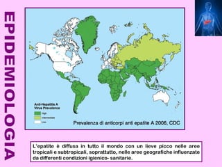 L’epatite è diffusa in tutto il mondo con un lieve picco nelle aree
tropicali e subtropicali, soprattutto, nelle aree geografiche influenzate
da differenti condizioni igienico- sanitarie.
 