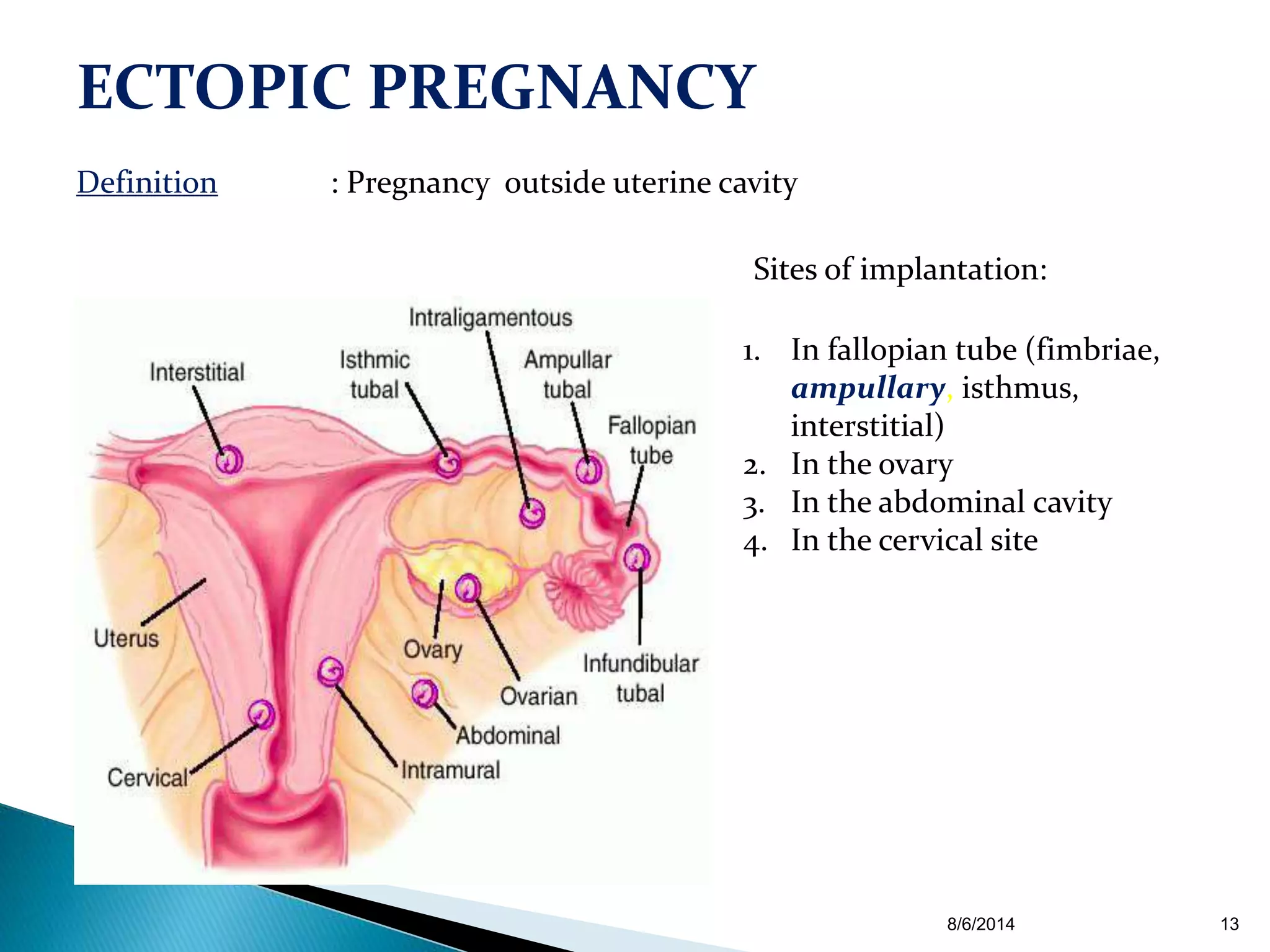 Karely Ruiz Hospitalized? Pregnancy Complications Revealed - nto5njd