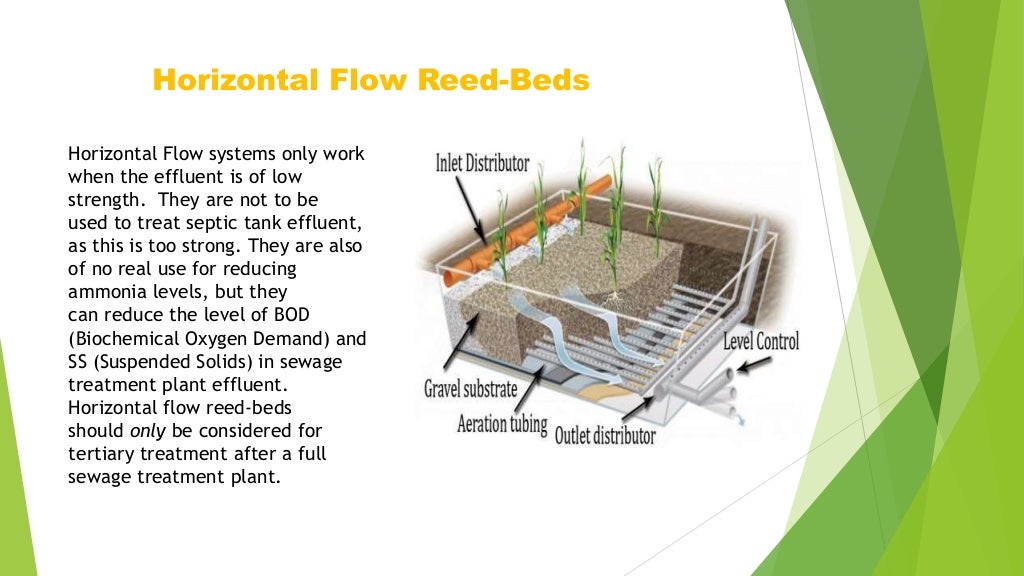 The use of reed beds for the treatment of sewage and wastewater.