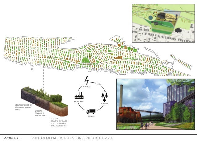 Power plant thesis
