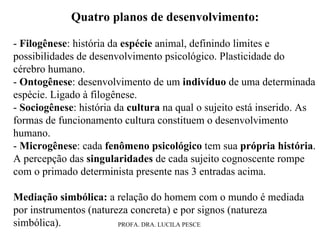 Quatro planos de desenvolvimento: -  Filogênese : história da  espécie  animal, definindo limites e possibilidades de desenvolvimento psicológico. Plasticidade do cérebro humano. -  Ontogênese : desenvolvimento de um  indivíduo  de uma determinada espécie. Ligado à filogênese. -  Sociogênese : história da  cultura  na qual o sujeito está inserido. As formas de funcionamento cultura constituem o desenvolvimento humano. -  Microgênese : cada  fenômeno psicológico  tem sua  própria história . A percepção das  singularidades  de cada sujeito cognoscente rompe com o primado determinista presente nas 3 entradas acima. Mediação simbólica:  a relação do homem com o mundo é mediada por instrumentos (natureza concreta) e por signos (natureza simbólica). 