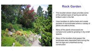 Rock Garden
• This boulder-strewn slope provides some
of the earliest signs of spring as well as
brilliant color in the fall.
• Uses boulders to define beds and create
pockets of microclimates where a variety of
plants are able to thrive.
• Many of the plants showcased are
compact and suited to growing in dry small
spaces.
• Many of the boulders that pepper the
landscape were deposited here during the
last ice age and unearthed during
construction
 