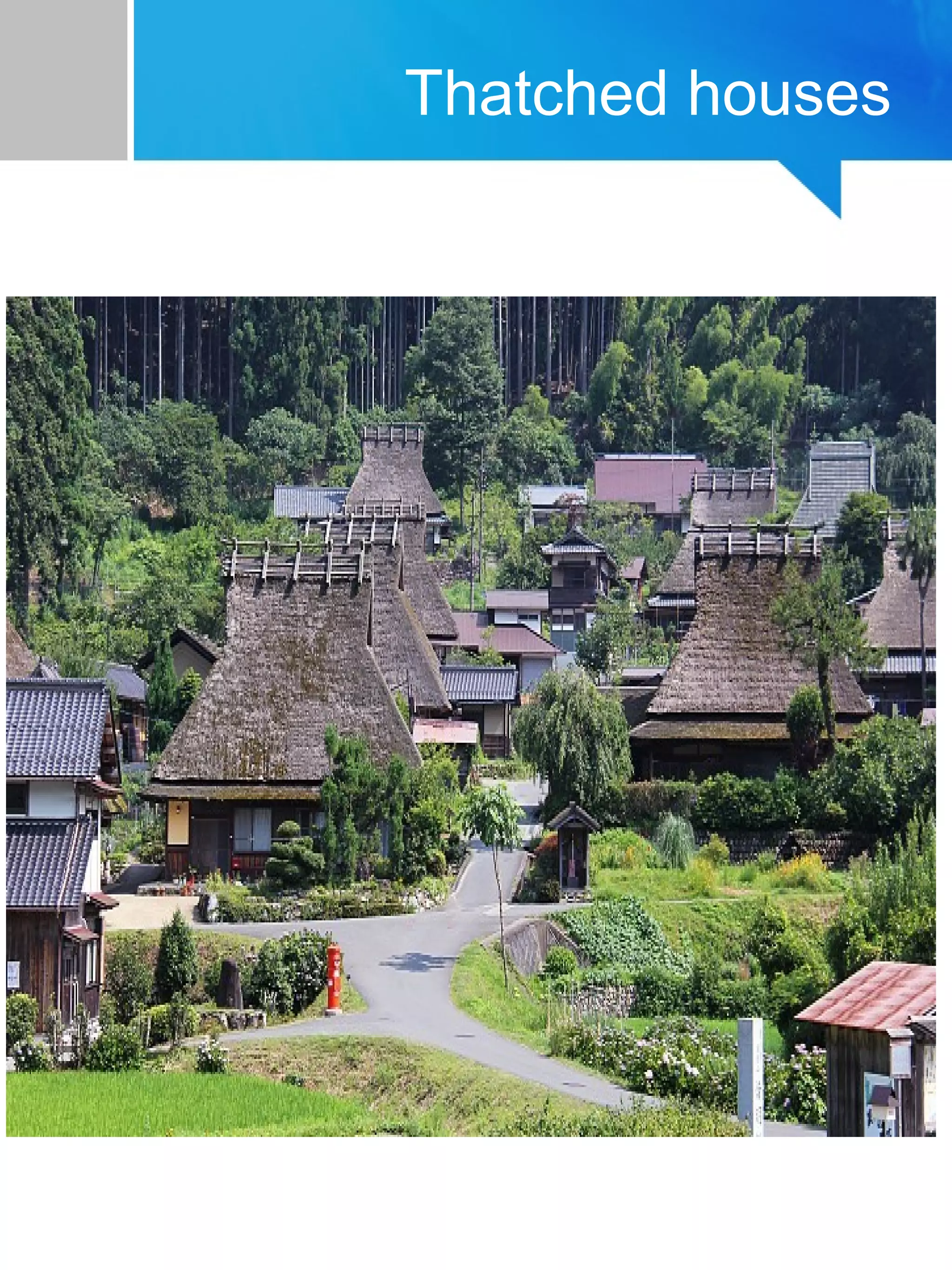 Thatched houses
 