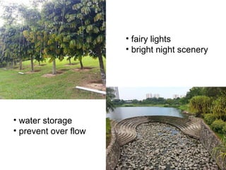 • fairy lights
• bright night scenery
• water storage
• prevent over flow
 