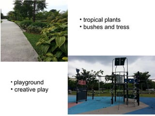 • playground
• creative play
• tropical plants
• bushes and tress
 