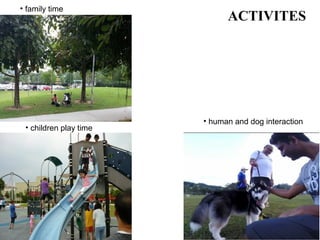 ACTIVITES
• children play time
• family time
• human and dog interaction
 