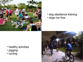 • healthy activities
• jogging
• cycling
• dog obedience training
• dogs run free
 