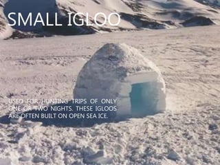 USED FOR HUNTING TRIPS OF ONLY
ONE OR TWO NIGHTS. THESE IGLOOS
ARE OFTEN BUILT ON OPEN SEA ICE.
SMALL IGLOO
 
