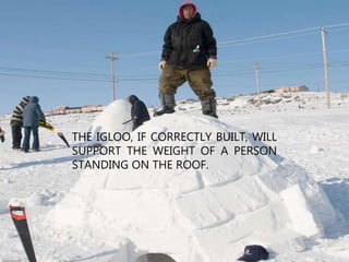 THE IGLOO, IF CORRECTLY BUILT, WILL
SUPPORT THE WEIGHT OF A PERSON
STANDING ON THE ROOF.
 