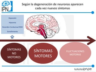 Según la degeneración de neuronas aparecen
cada vez nuevos síntomas
SÍNTOMAS
NO
MOTORES
SÍNTOMAS
MOTORES
FLUCTUACIONES
MOTORAS
Depresión
Hiposmia
Desorden Conductual REM
Estreñimiento
 