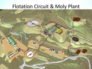 Flotation Circuit & Moly Plant
 