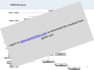 WBS Structure
66
 