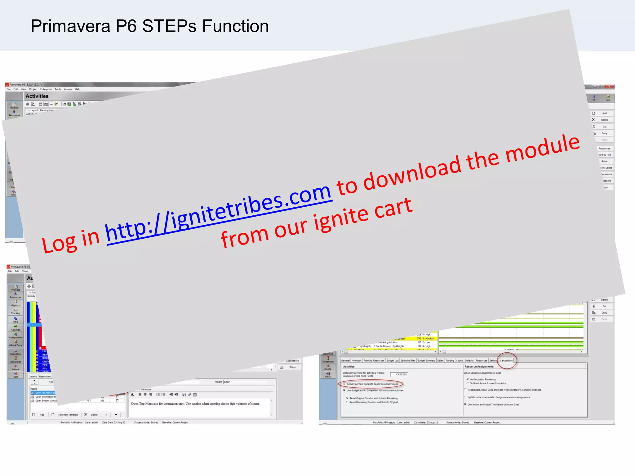 Primavera P6 STEPs Function
 