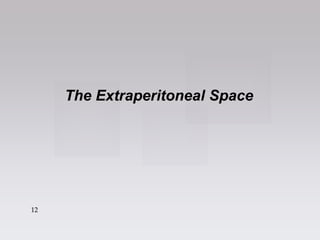 1
2
12
The Extraperitoneal Space
 