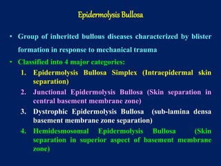 • Group of inherited bullous diseases characterized by blister
formation in response to mechanical trauma
• Classified into 4 major categories:
1. Epidermolysis Bullosa Simplex (Intraepidermal skin
separation)
2. Junctional Epidermolysis Bullosa (Skin separation in
central basement membrane zone)
3. Dystrophic Epidermolysis Bullosa (sub-lamina densa
basement membrane zone separation)
4. Hemidesmosomal Epidermolysis Bullosa (Skin
separation in superior aspect of basement membrane
zone)
Epidermolysis Bullosa
 