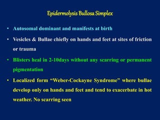 • Autosomal dominant and manifests at birth
• Vesicles & Bullae chiefly on hands and feet at sites of friction
or trauma
• Blisters heal in 2-10days without any scarring or permanent
pigmentation
• Localized form “Weber-Cockayne Syndrome” where bullae
develop only on hands and feet and tend to exacerbate in hot
weather. No scarring seen
Epidermolysis Bullosa Simplex
 