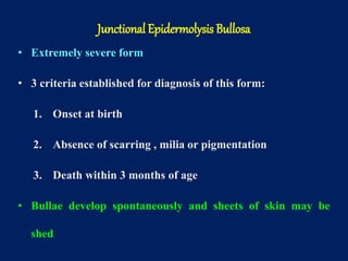 • Extremely severe form
• 3 criteria established for diagnosis of this form:
1. Onset at birth
2. Absence of scarring , milia or pigmentation
3. Death within 3 months of age
• Bullae develop spontaneously and sheets of skin may be
shed
Junctional Epidermolysis Bullosa
 