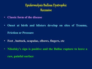 • Classic form of the disease
• Onset at birth and blisters develop on sites of Trauma,
Friction or Pressure
• Feet , buttock, scapulae, elbows, fingers, etc
• Nikolsky’s sign is positive and the Bullae rupture to leave a
raw, painful surface
Epidermolysis Bullosa Dystrophic
Recessive
 