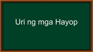 Epekto ng klima