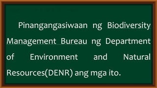 Epekto ng klima